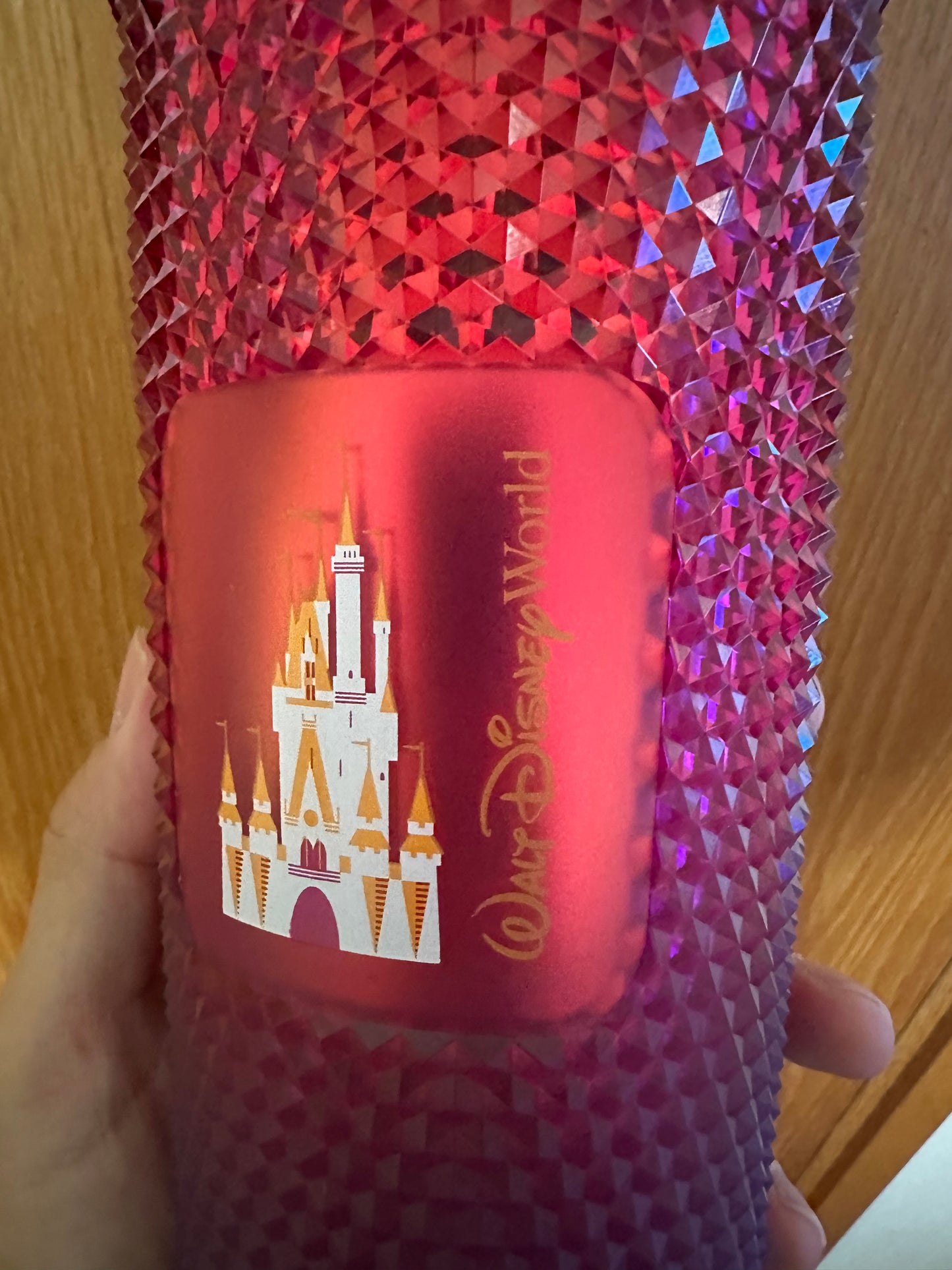 Starbucks Tumbler - Disney World Berry Studded - Venti 24oz