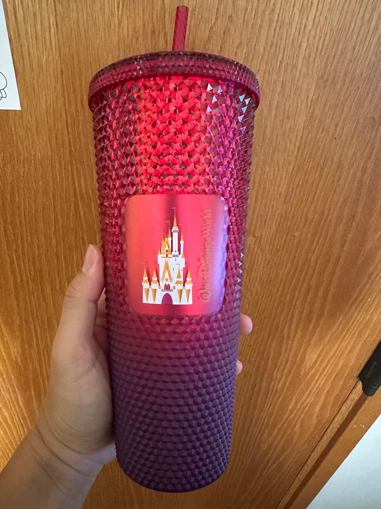 Starbucks Tumbler - Disney World Berry Studded - Venti 24oz