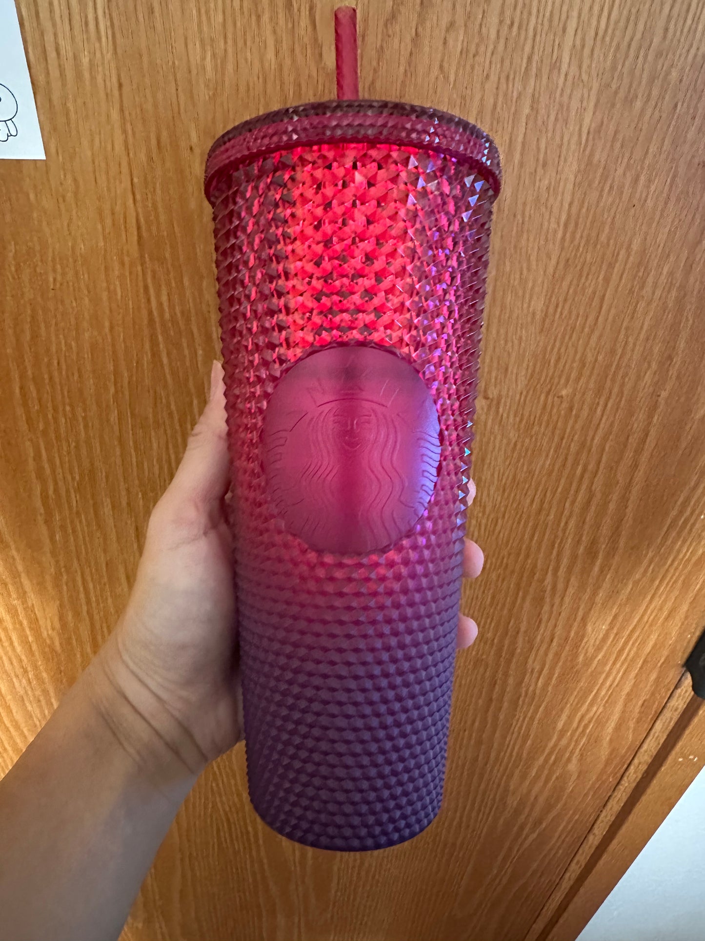 Starbucks Tumbler - Disney World Berry Studded - Venti 24oz