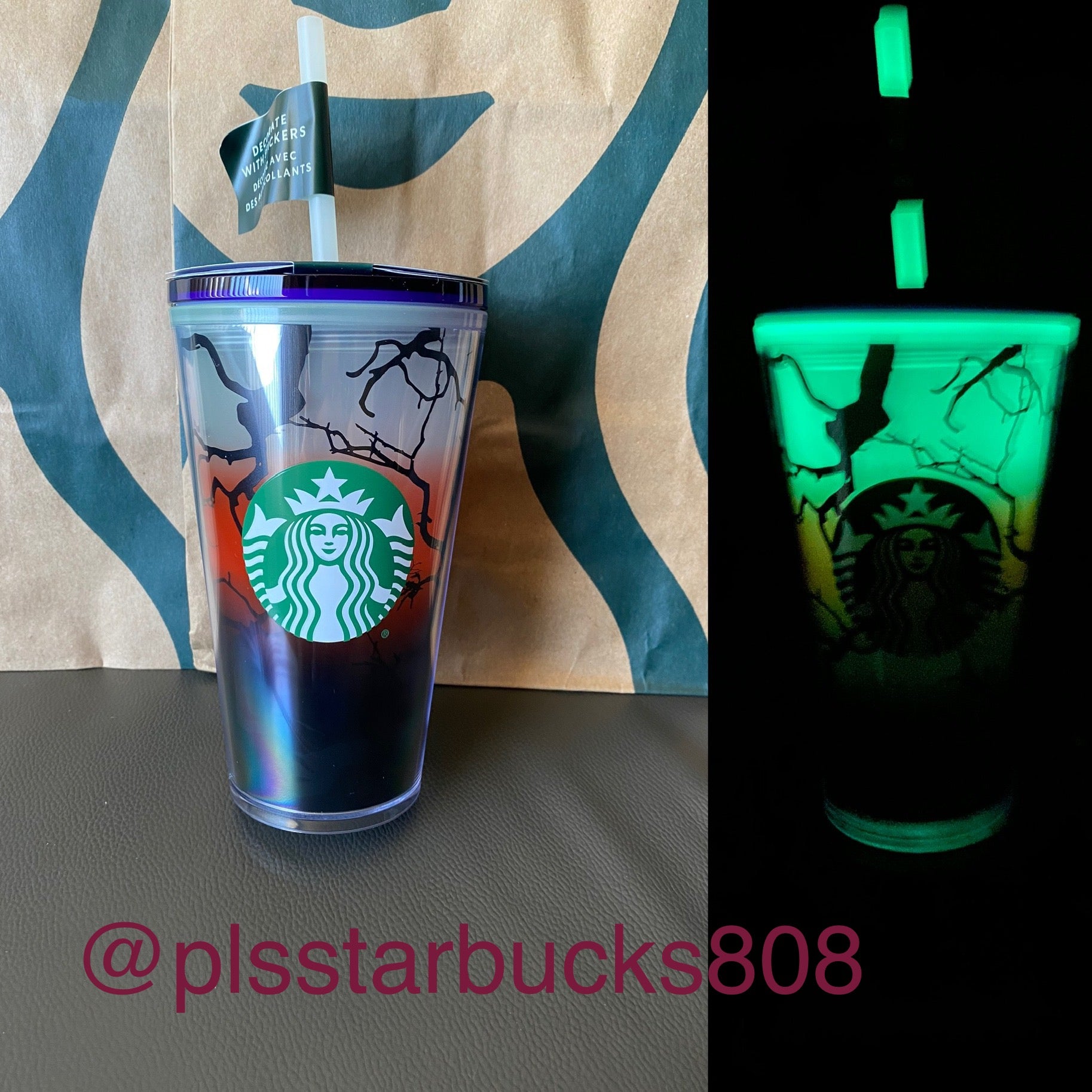 Starbucks Tumbler Halloween - Raven Glow in the Dark Limited Edition